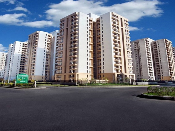 1754555842_jaypee cosmos.jpg